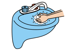 3.調理人の衛生
手に触れた食材が変わるごとに手洗いを励行すること
