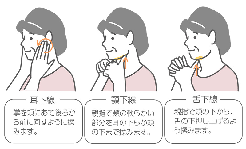 耳下腺・顎下腺・舌下腺の唾液腺マッサージについての図と説明